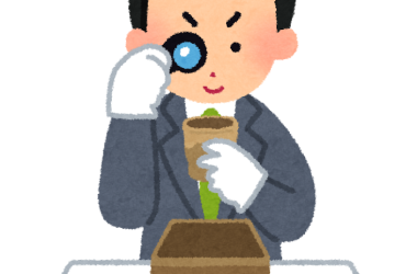 これも相続財産！？でも価値がわからな～い｜書画・骨とう品を贈与された場合、 評価額をどのように決めるのか？｜株式会社マトリックストラスト