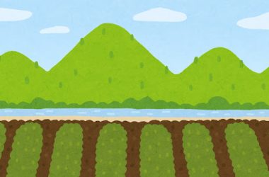 相続した農地の売却方法 ～農地転用後に売却｜不動産相続の相談窓口｜株式会社マトリックストラスト