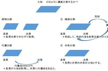 不動産の分割（現物分割、代償分割、換価分割、共有）